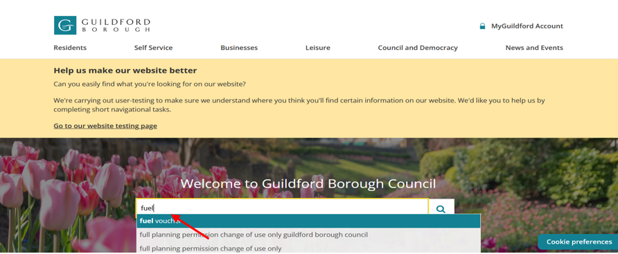 Local authority search bar